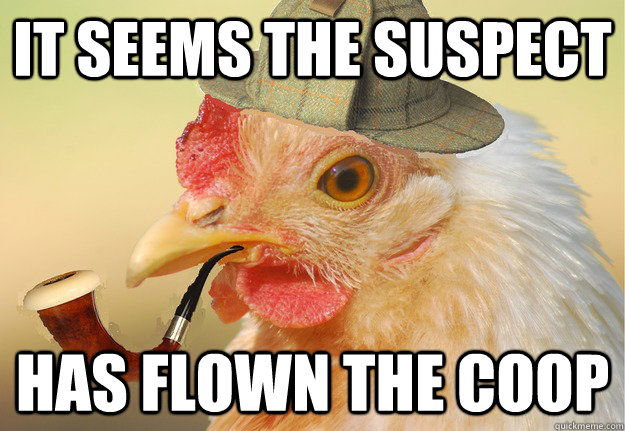 It seems the suspect has flown the coop - It seems the suspect has flown the coop  Chicken Detective