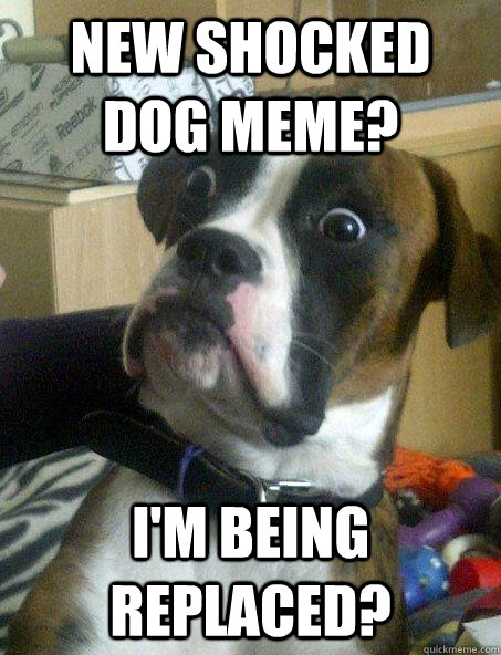 new shocked dog meme? I'm being replaced? - new shocked dog meme? I'm being replaced?  Misc