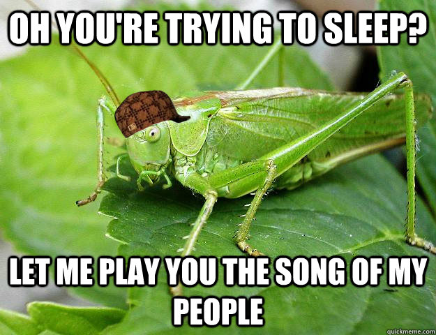 Oh you're trying to sleep? let me play you the song of my people - Oh you're trying to sleep? let me play you the song of my people  Scumbag Cricket