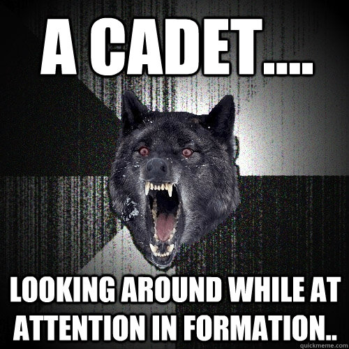 A Cadet.... looking around while at attention in formation..  Insanity Wolf