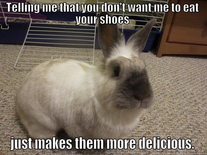 TELLING ME THAT YOU DON'T WANT ME TO EAT YOUR SHOES JUST MAKES THEM MORE DELICIOUS. Misc