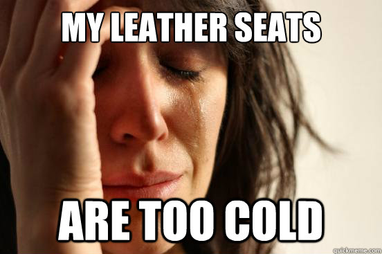 My leather seats are too cold  First World Problems