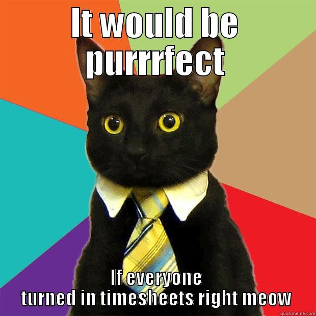 IT WOULD BE PURRRFECT IF EVERYONE TURNED IN TIMESHEETS RIGHT MEOW Business Cat