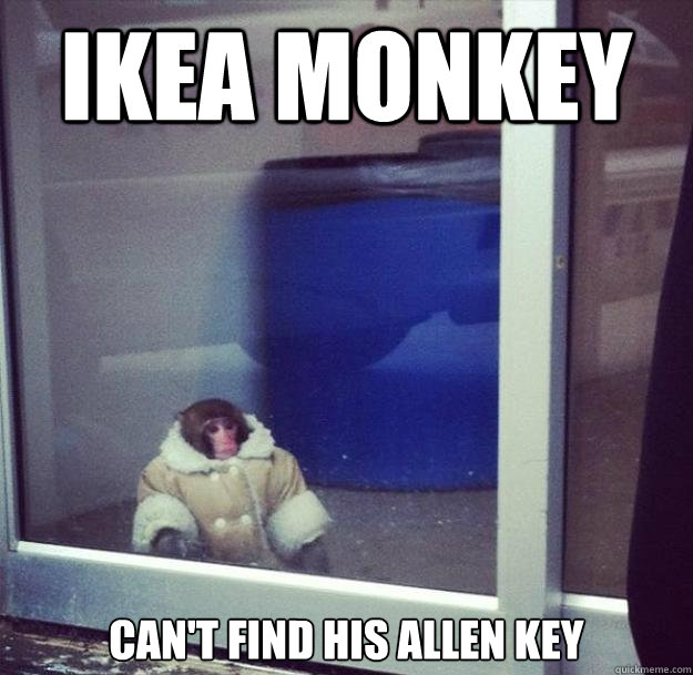 Ikea monkey can't find his allen key - Ikea monkey can't find his allen key  Misc