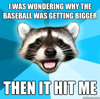 I was wondering why the baseball was getting bigger Then it hit me  Lame Pun Coon
