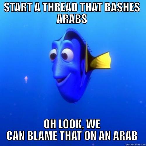 START A THREAD THAT BASHES ARABS OH LOOK, WE CAN BLAME THAT ON AN ARAB dory