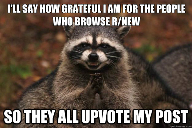 I'll say how grateful I am for the people who browse r/new So they all upvote my post - I'll say how grateful I am for the people who browse r/new So they all upvote my post  Evil Plotting Raccoon