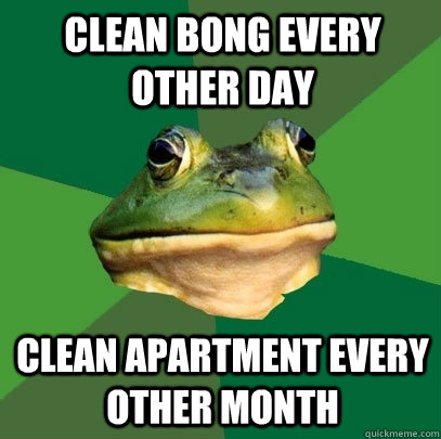 Clean bong every other day Clean apartment every other month  Foul Bachelor Frog