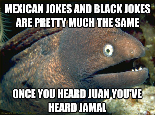 mexican jokes and black jokes are pretty much the same once you heard juan you've heard jamal  Bad Joke Eel