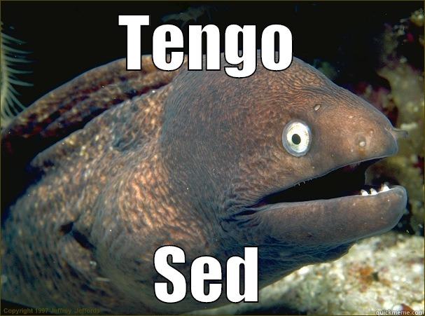 spanish homework - TENGO SED Bad Joke Eel