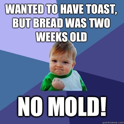 Wanted to have toast, but bread was two weeks old No mold!  Success Kid