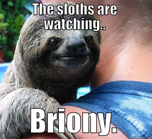THE SLOTHS ARE WATCHING.. BRIONY. Misc