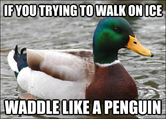 If you trying to walk on ice waddle like a penguin  Actual Advice Mallard