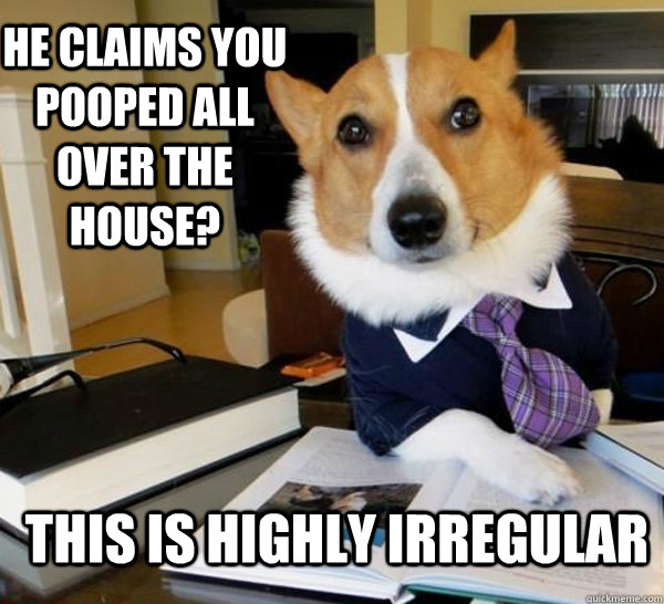 he claims you pooped all over the house? this is highly irregular  Lawyer Dog