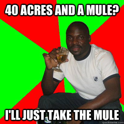 40 acres and a mule? I'll just take the mule  Low Expectations Black Father