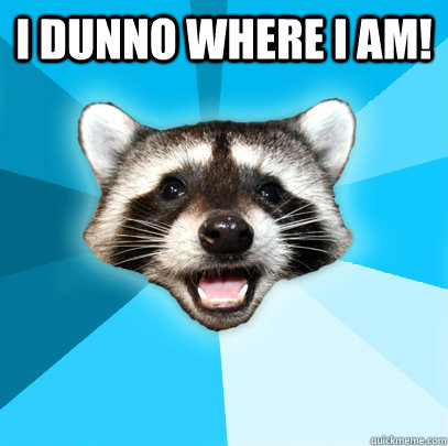 I DUNNO WHERE I AM!  Lame Pun Coon