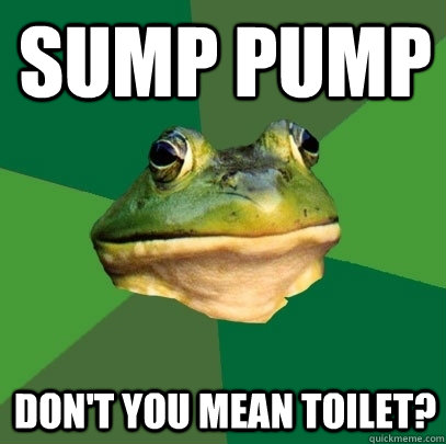 Sump pump Don't you mean toilet?  Foul Bachelor Frog
