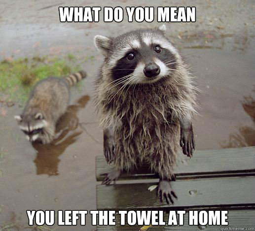 What do you mean You left the towel at home - What do you mean You left the towel at home  Sympathy Coon