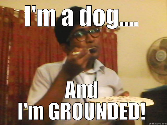 I'M A DOG.... AND I'M GROUNDED! Misc