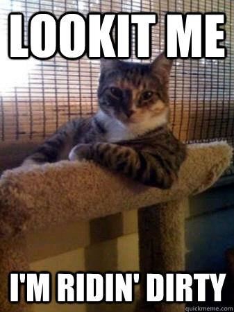 lookit me i'm ridin' dirty  The Most Interesting Cat in the World