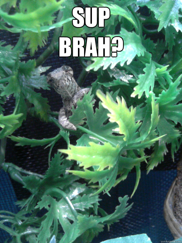 Sup
brah?  - Sup
brah?   Excited lizard