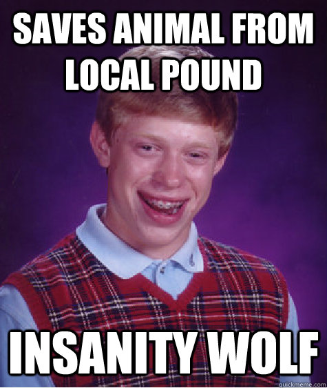 saves animal from local pound insanity wolf  Bad Luck Brian