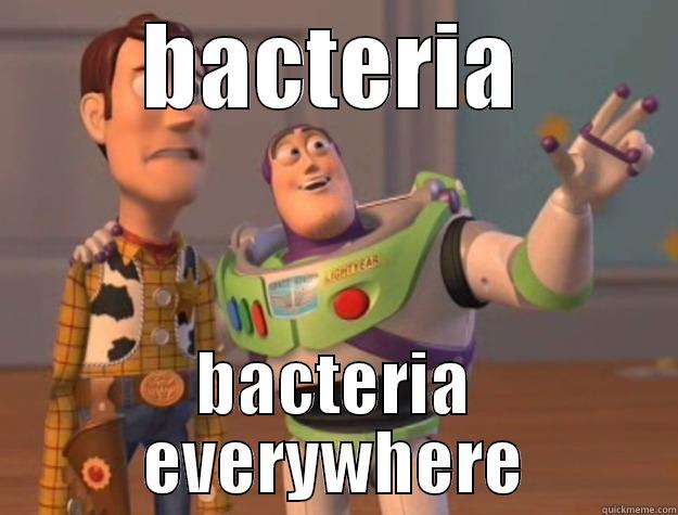 BACTERIA BACTERIA EVERYWHERE Toy Story