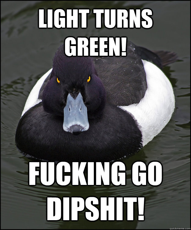 LIGHT TURNS GREEN! FUCKING GO DIPSHIT!  Angry Advice Duck