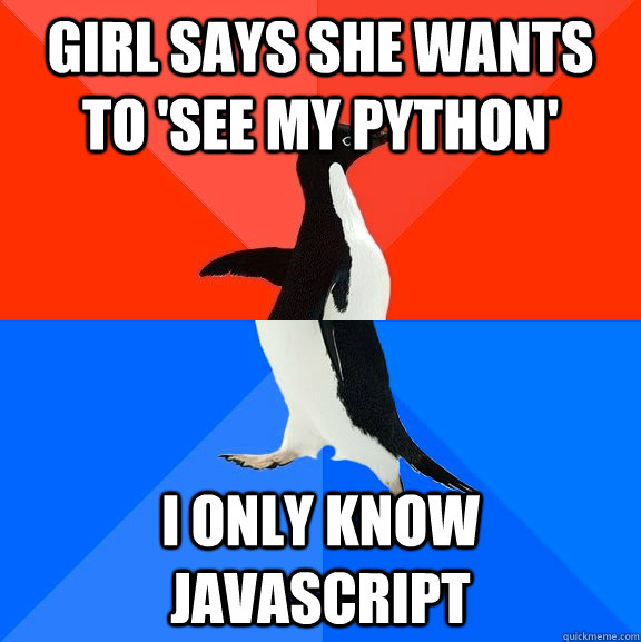 Girl says she wants to 'see my python' I only know javascript  Socially Awesome Awkward Penguin