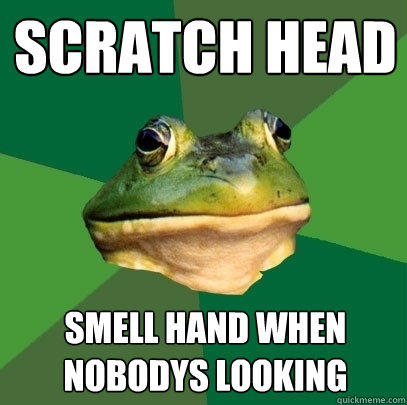 scratch head  smell hand when nobodys looking - scratch head  smell hand when nobodys looking  Foul Bachelor Frog