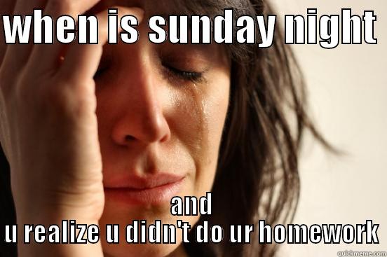 WHEN IS SUNDAY NIGHT  AND U REALIZE U DIDN'T DO UR HOMEWORK First World Problems