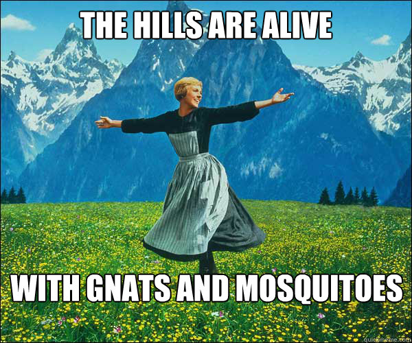 the hills are alive with gnats and mosquitoes  Look At All The Fucks I Give