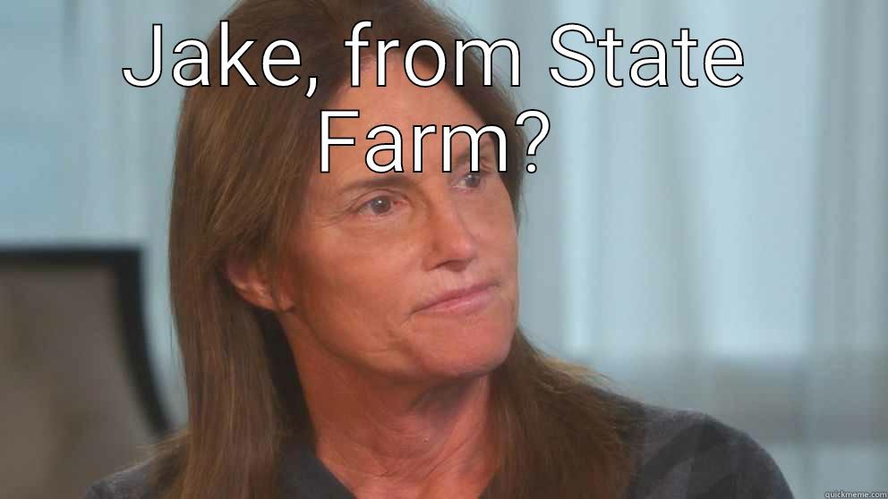 jake state farm - JAKE, FROM STATE FARM?  Misc