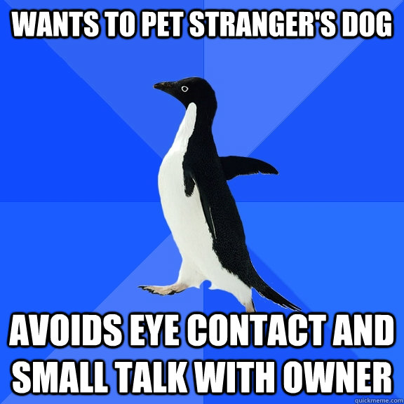 wants to pet stranger's dog avoids eye contact and small talk with owner  Socially Awkward Penguin