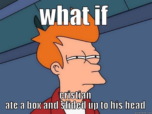 WHAT IF CRISTIAN ATE A BOX AND SLIDED UP TO HIS HEAD Futurama Fry