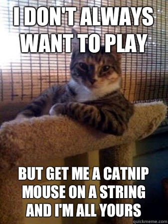 I don't always want to play But get me a catnip mouse on a string
And I'm all yours  The Most Interesting Cat in the World
