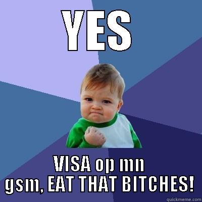 YES VISA OP MN GSM, EAT THAT BITCHES! Success Kid