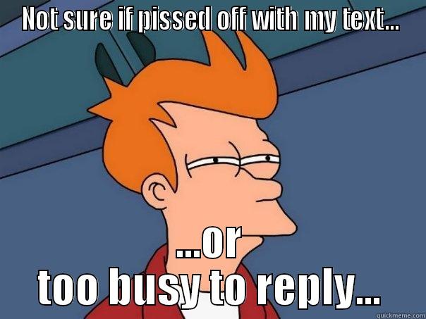 NOT SURE IF PISSED OFF WITH MY TEXT... ...OR TOO BUSY TO REPLY... Futurama Fry