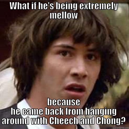 WHAT IF HE'S BEING EXTREMELY MELLOW BECAUSE HE CAME BACK FROM HANGING AROUND WITH CHEECH AND CHONG? conspiracy keanu