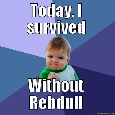 TODAY, I SURVIVED WITHOUT REBDULL Success Kid
