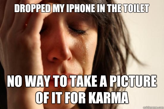 Dropped my iPhone in the toilet No way to take a picture of it for karma  First World Problems