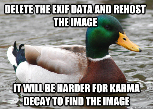 Delete the exif Data and rehost the image It will be harder for karma decay to find the image  Actual Advice Mallard