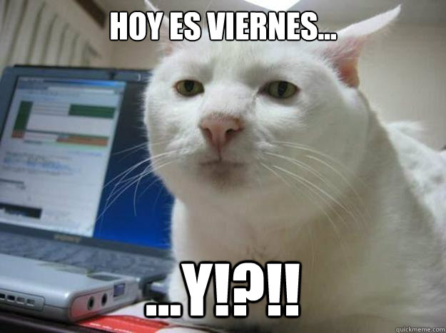 Hoy es viernes... ...Y!?!! - Hoy es viernes... ...Y!?!!  Gato Indiferente