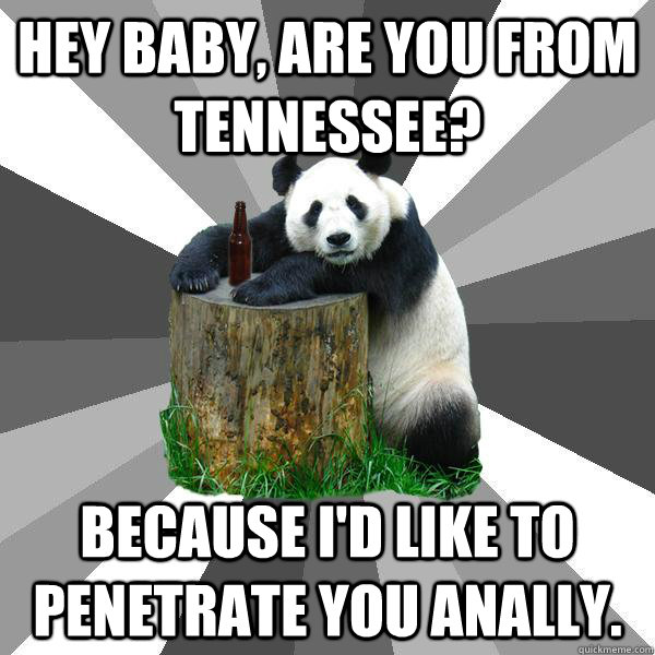 HEY BABY, ARE YOU FROM TENNESSEE?  BECAUSE I'D LIKE TO PENETRATE YOU ANALLY.  Pickup-Line Panda