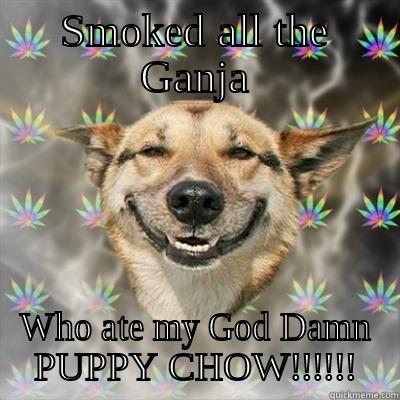 SMOKED ALL THE GANJA WHO ATE MY GOD DAMN PUPPY CHOW!!!!!! Stoner Dog