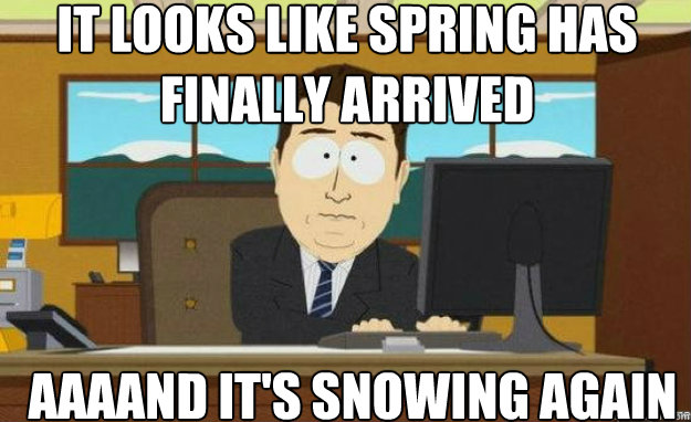 It looks like Spring has finally arrived AAAAND it's snowing again  aaaand its gone