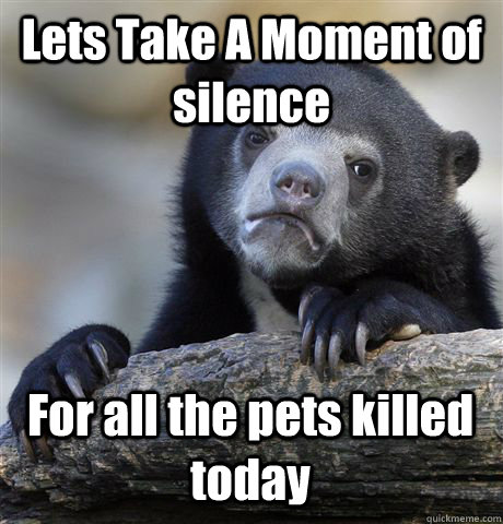 Lets Take A Moment of silence For all the pets killed today  Confession Bear