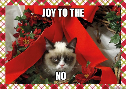 Joy to the No  merry christmas