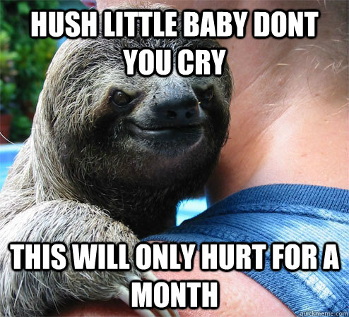 hush little baby dont you cry this will only hurt for a month  Suspiciously Evil Sloth