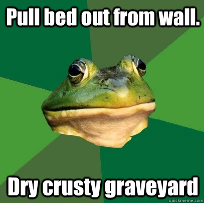 Pull bed out from wall. Dry crusty graveyard  Foul Bachelor Frog